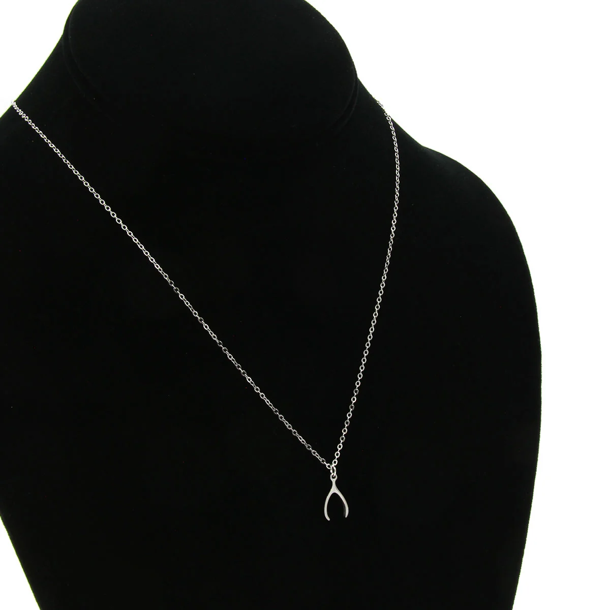 Collar Acero Plateado Hueso Buena Suerte Fortuna Deseo
