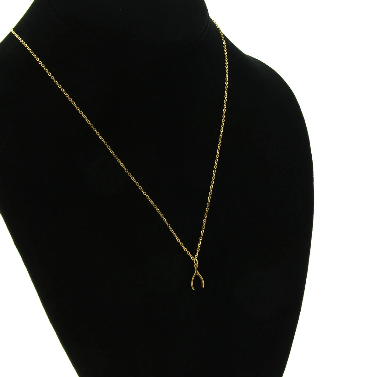 Collar Acero Dorado Hueso Buena Suerte Fortuna Deseo