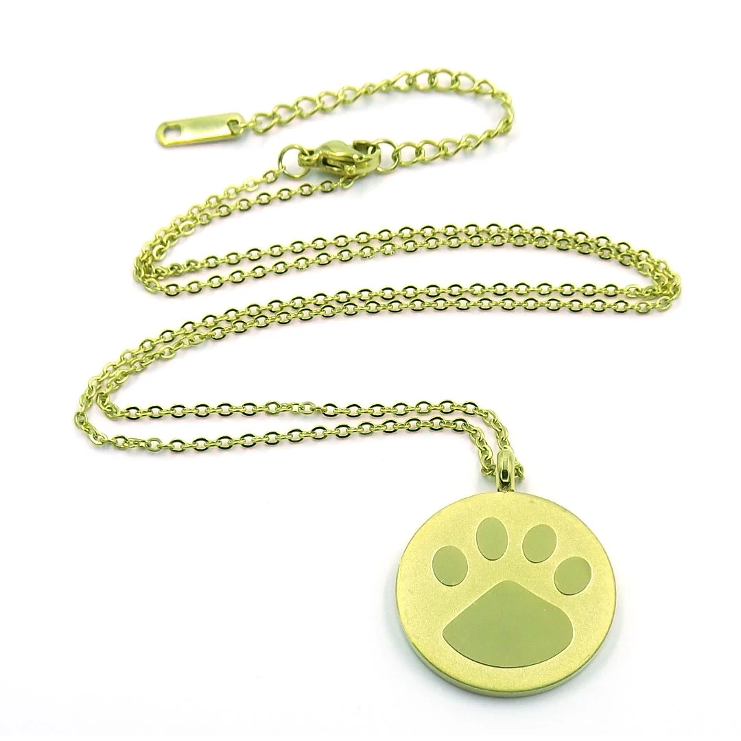 Collar Acero Dorado Medalla Garra de Perro