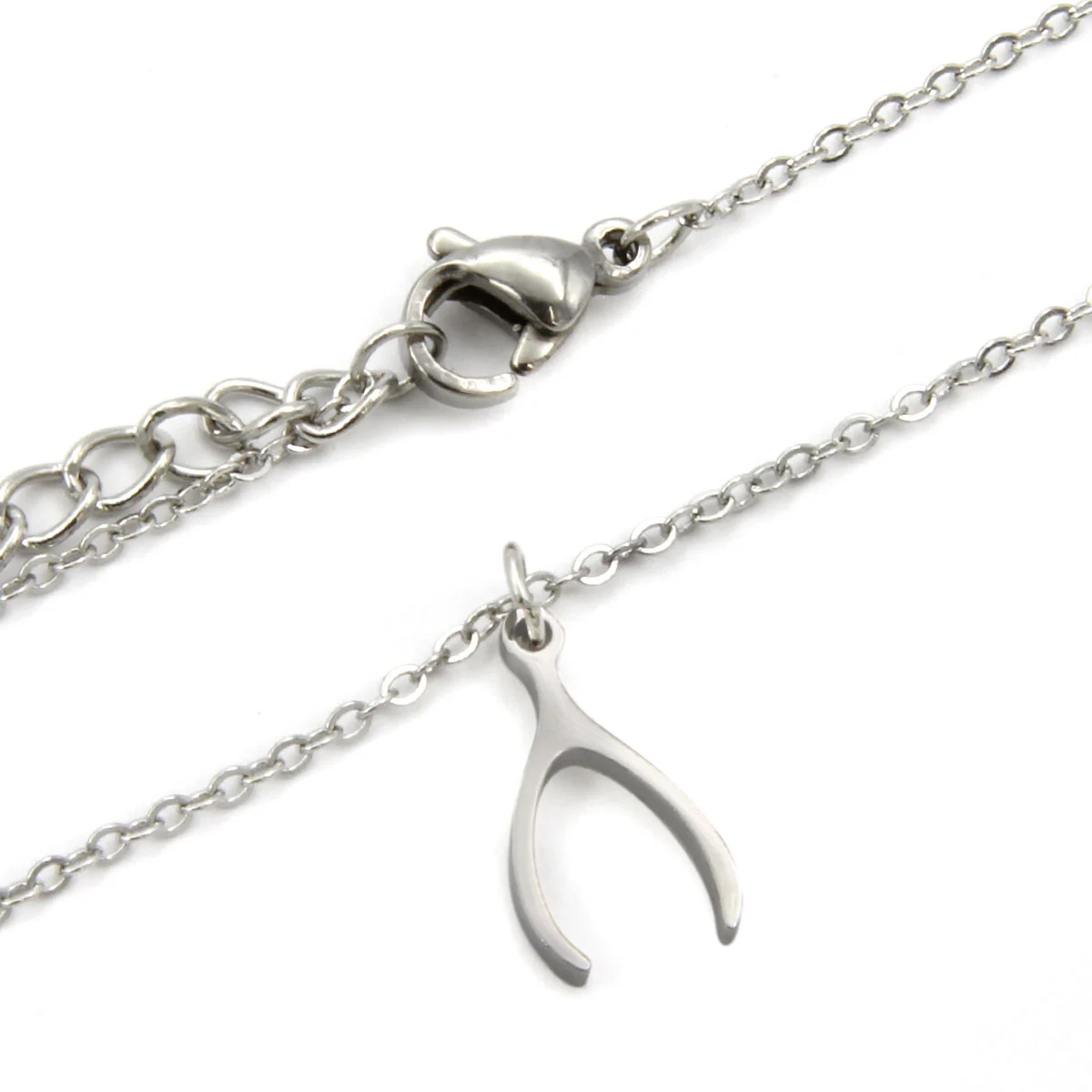 Collar Acero Plateado Hueso Buena Suerte Fortuna Deseo