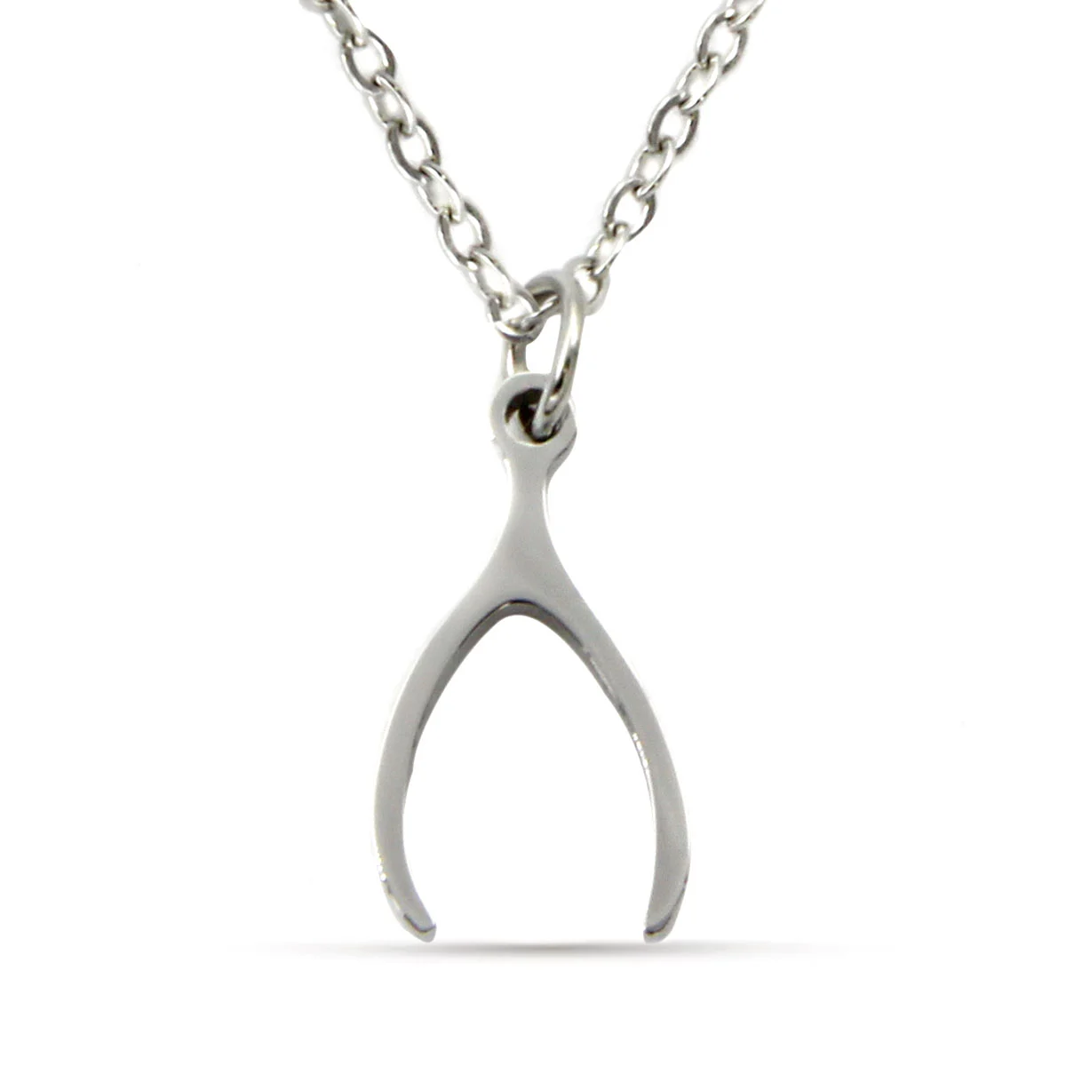 Collar Acero Plateado Hueso Buena Suerte Fortuna Deseo