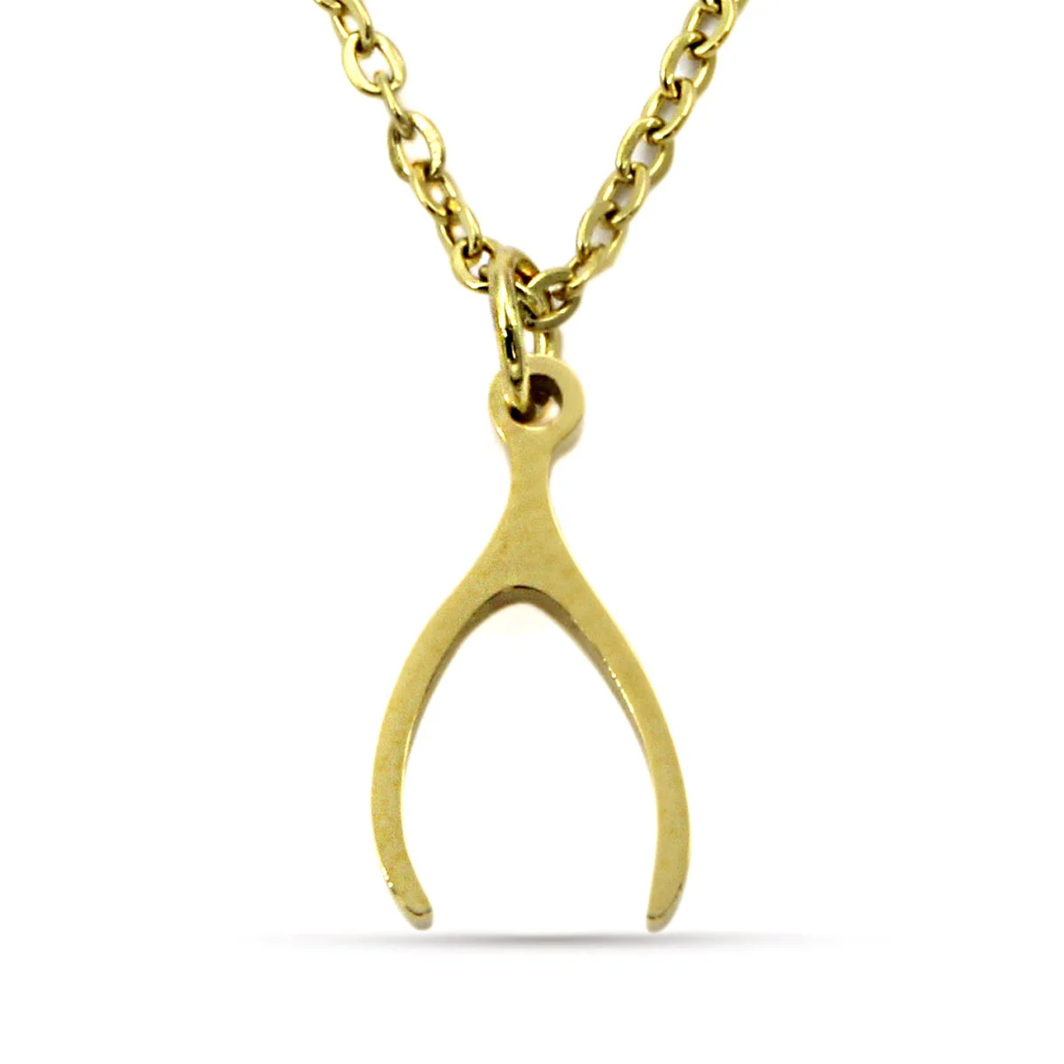 Collar Acero Dorado Hueso Buena Suerte Fortuna Deseo