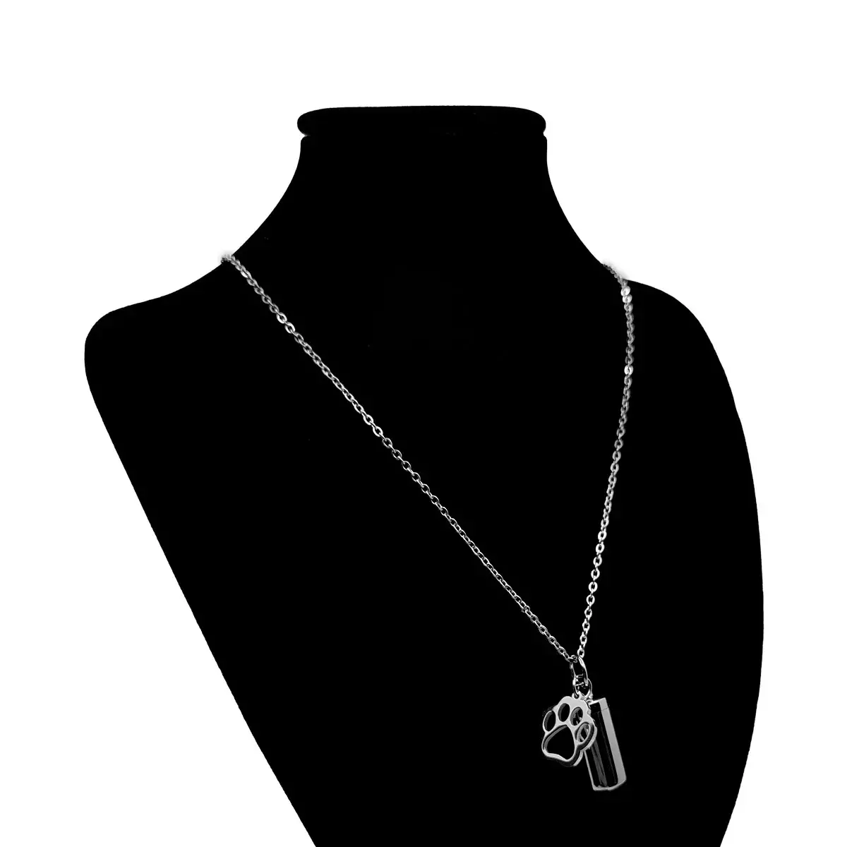 Collar Acero Inox Plateado Urna Cenizas Mascota Huella