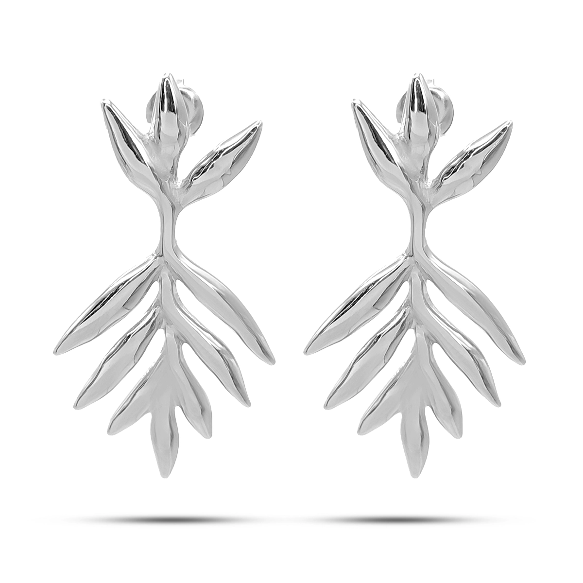 Aretes Acero Inox de Noche Elegantes Hojas Rama Palmera